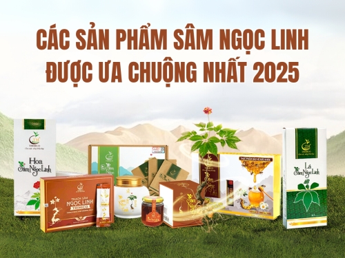 Khám phá các sản phẩm sâm Ngọc Linh được ưa chuộng nhất 2025